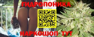 индика Абинск