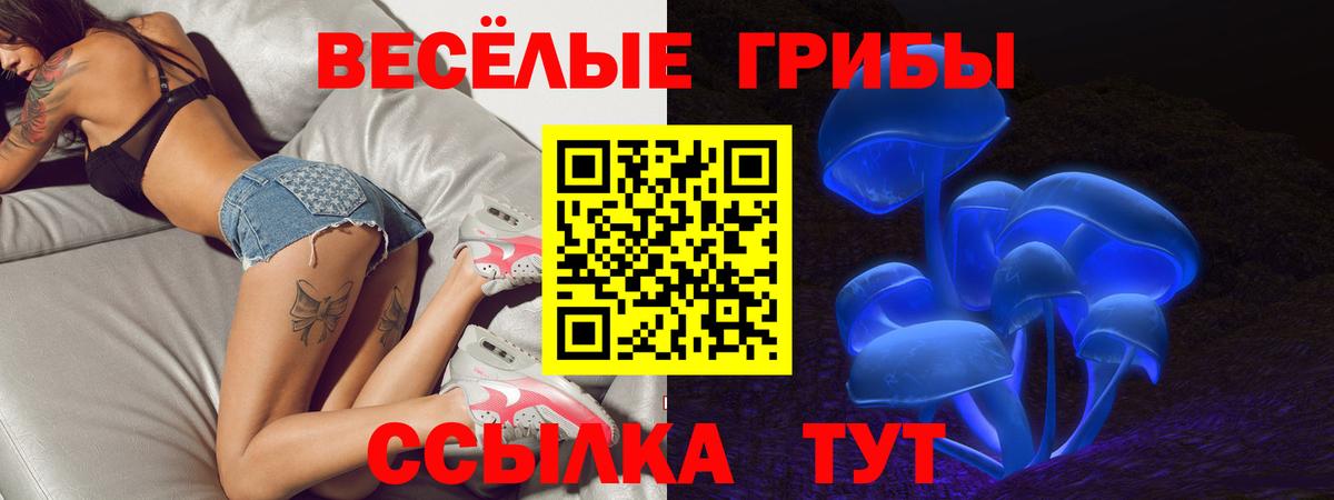цены   Псилоцибиновые грибы Psilocybe  Вход с VPN  Анжеро-Судженск  Псилоцибиновые грибы Psilocybine cubensis 